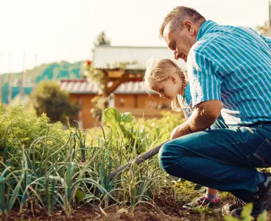Munkavédelem a ház körül: A hallás szerepe a balesetmegelőzésben Munkavédelem a ház körül: A hallás szerepe a balesetmegelőzésben
